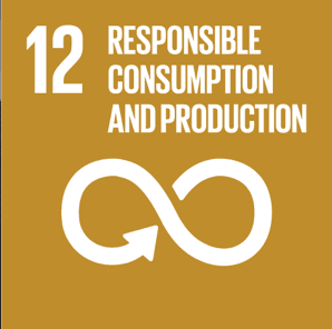 UN Sustainable Development Goal 12: Responsible Consumption and Production