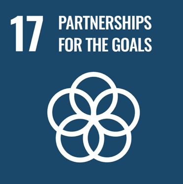 UN Sustainable Development Goal 17: Partnerships for the Goals