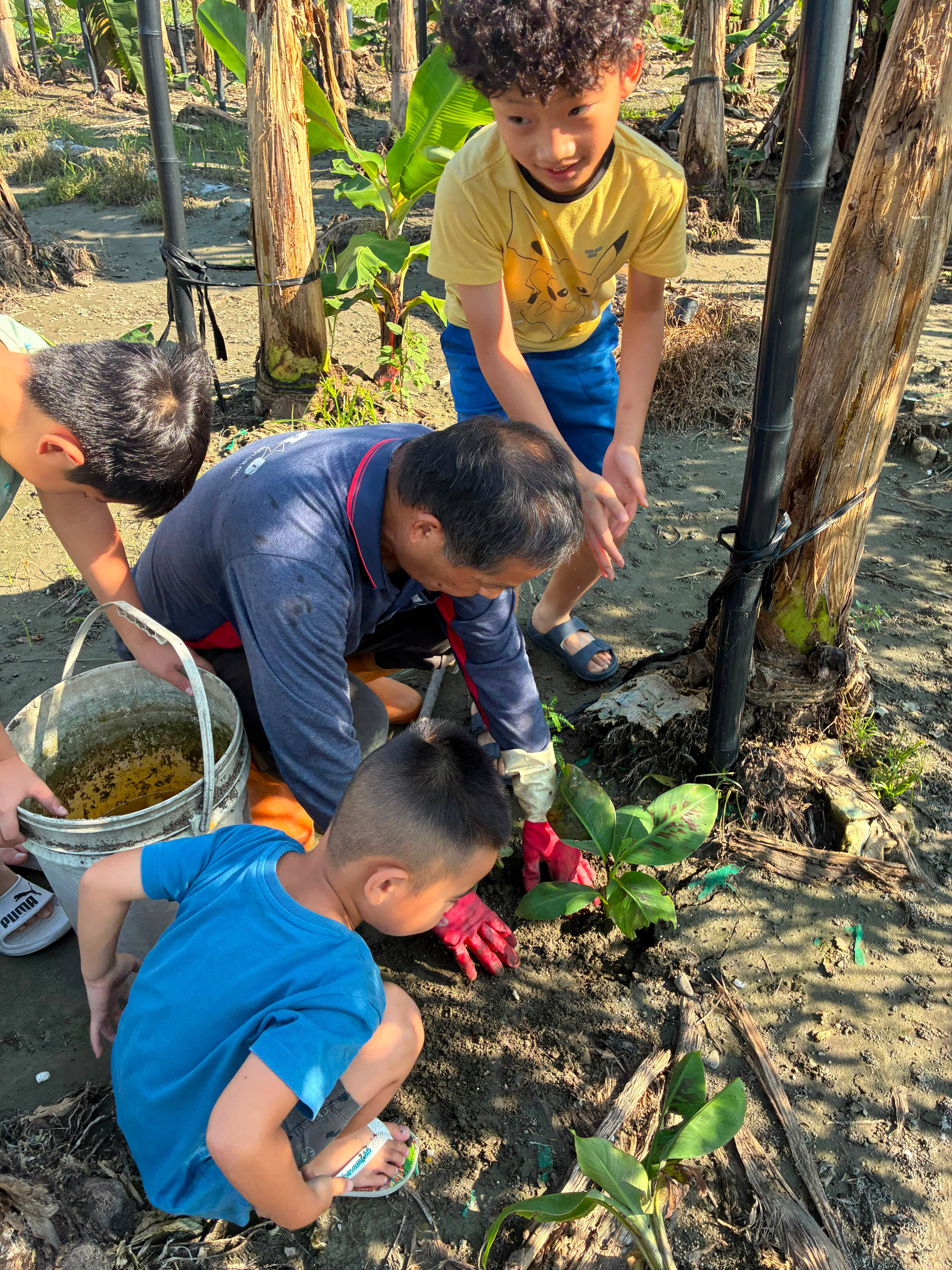 Seeds for Change in Taiwan project photo 1