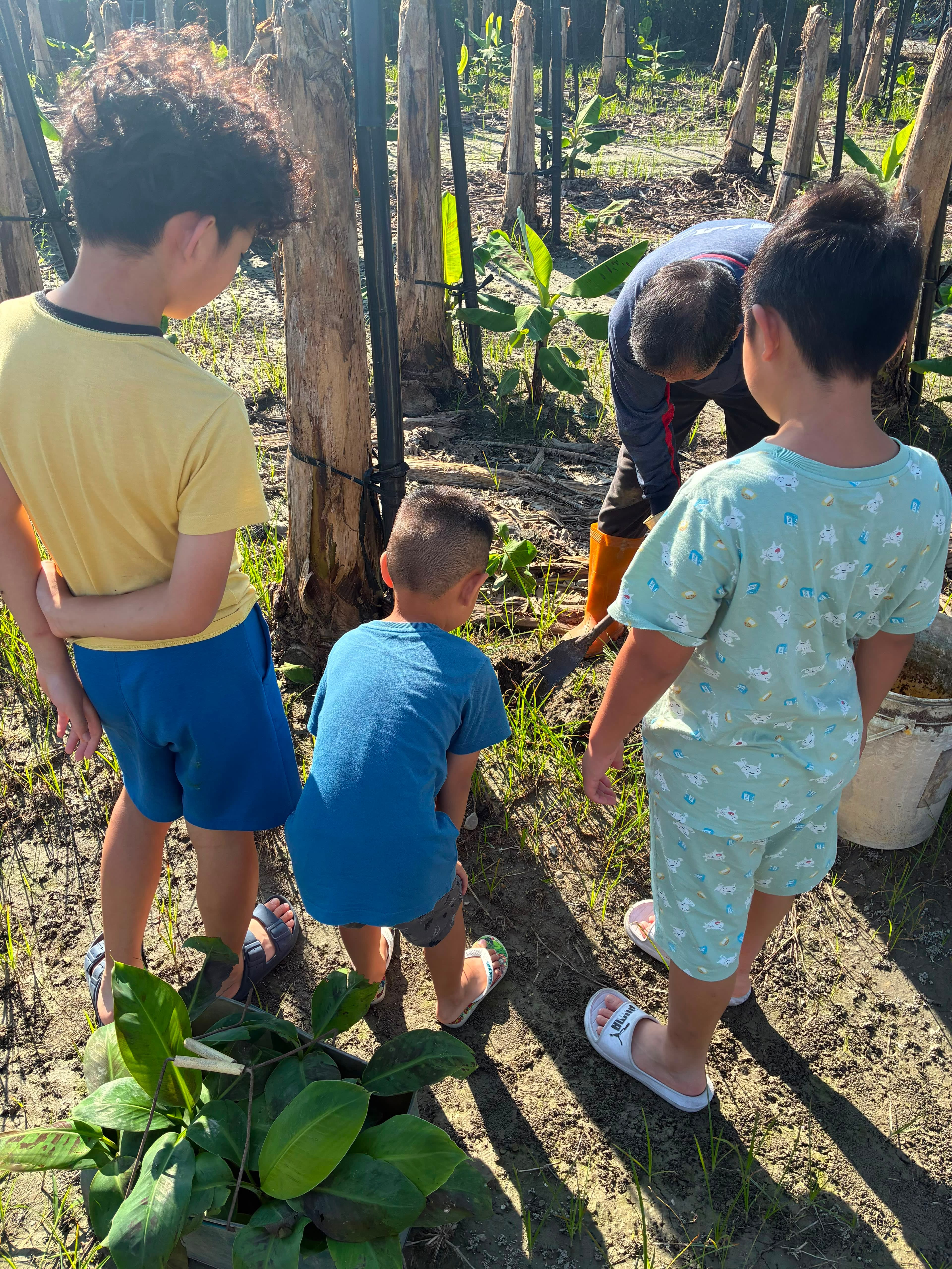 Seeds for Change in Taiwan project photo 13