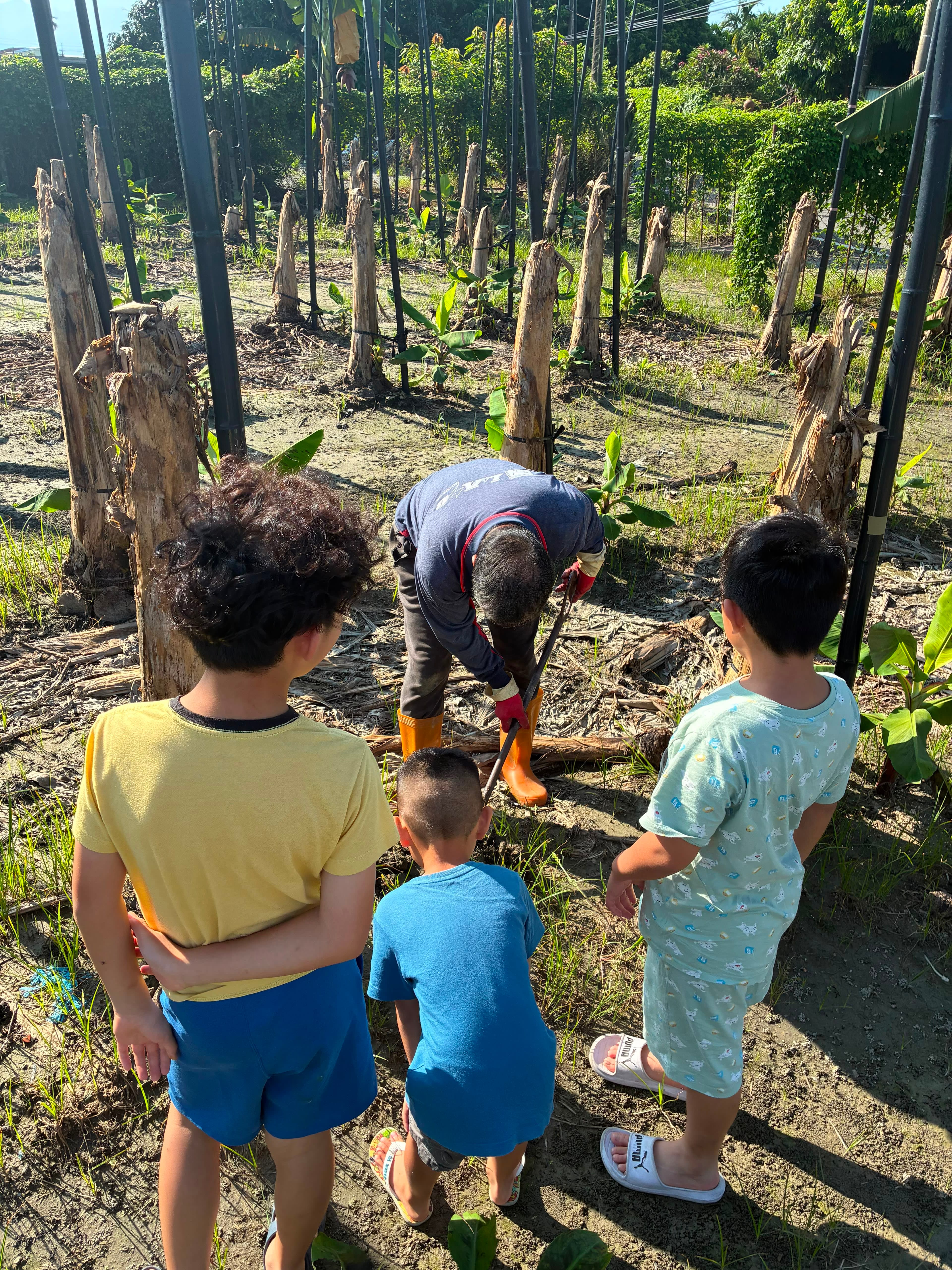 Seeds for Change in Taiwan project photo 15