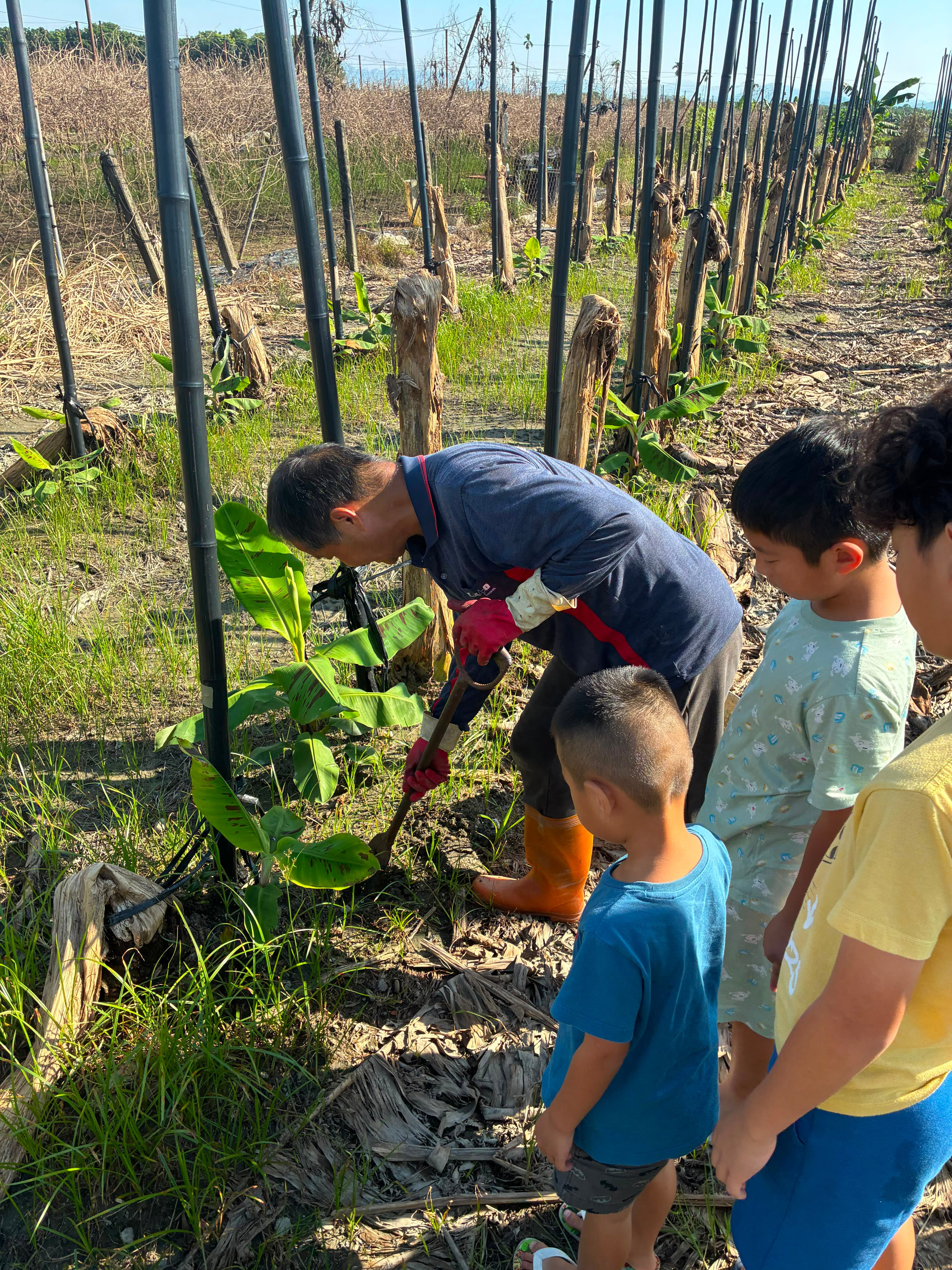 Seeds for Change in Taiwan project photo 22