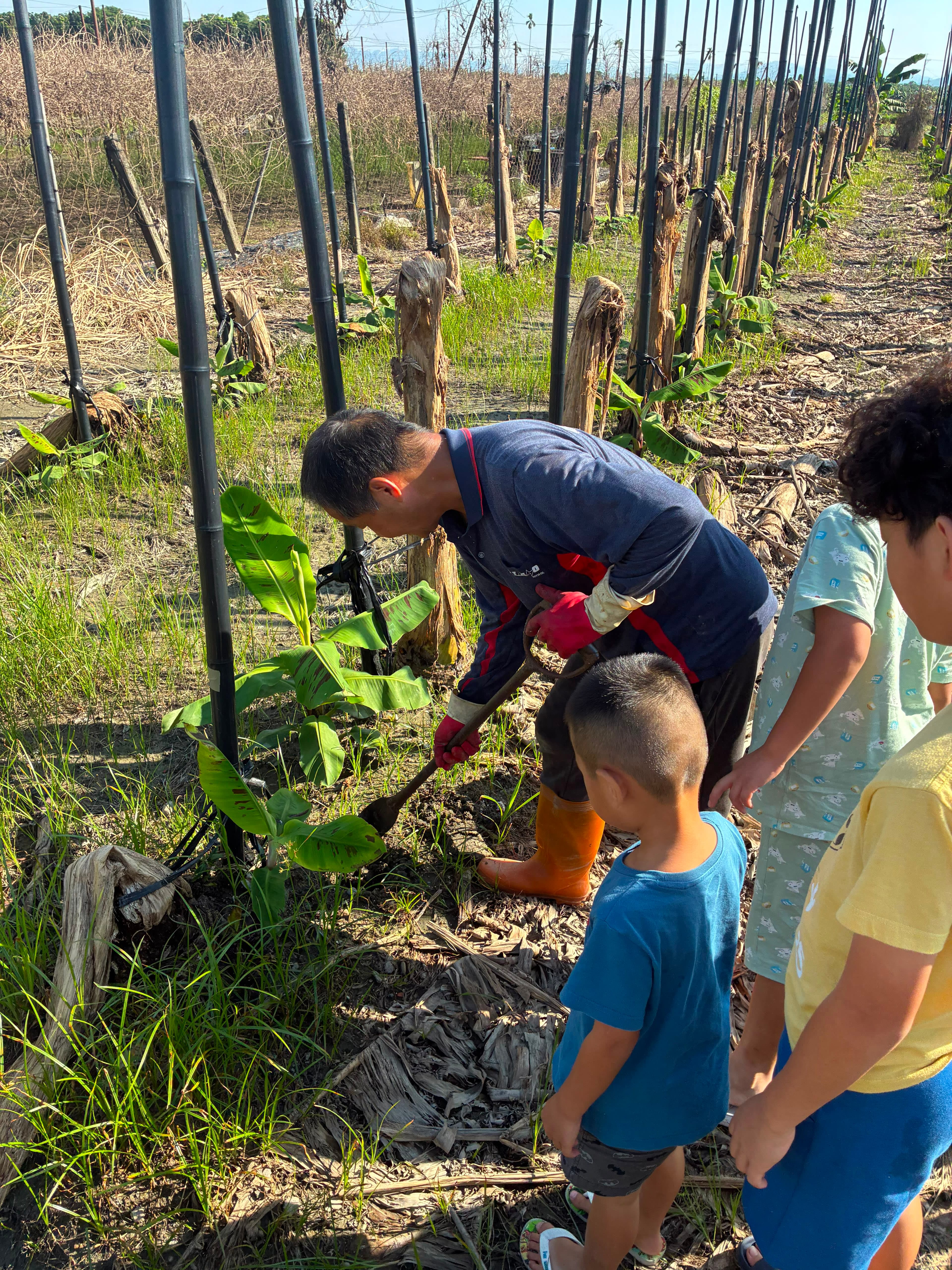 Seeds for Change in Taiwan project photo 23