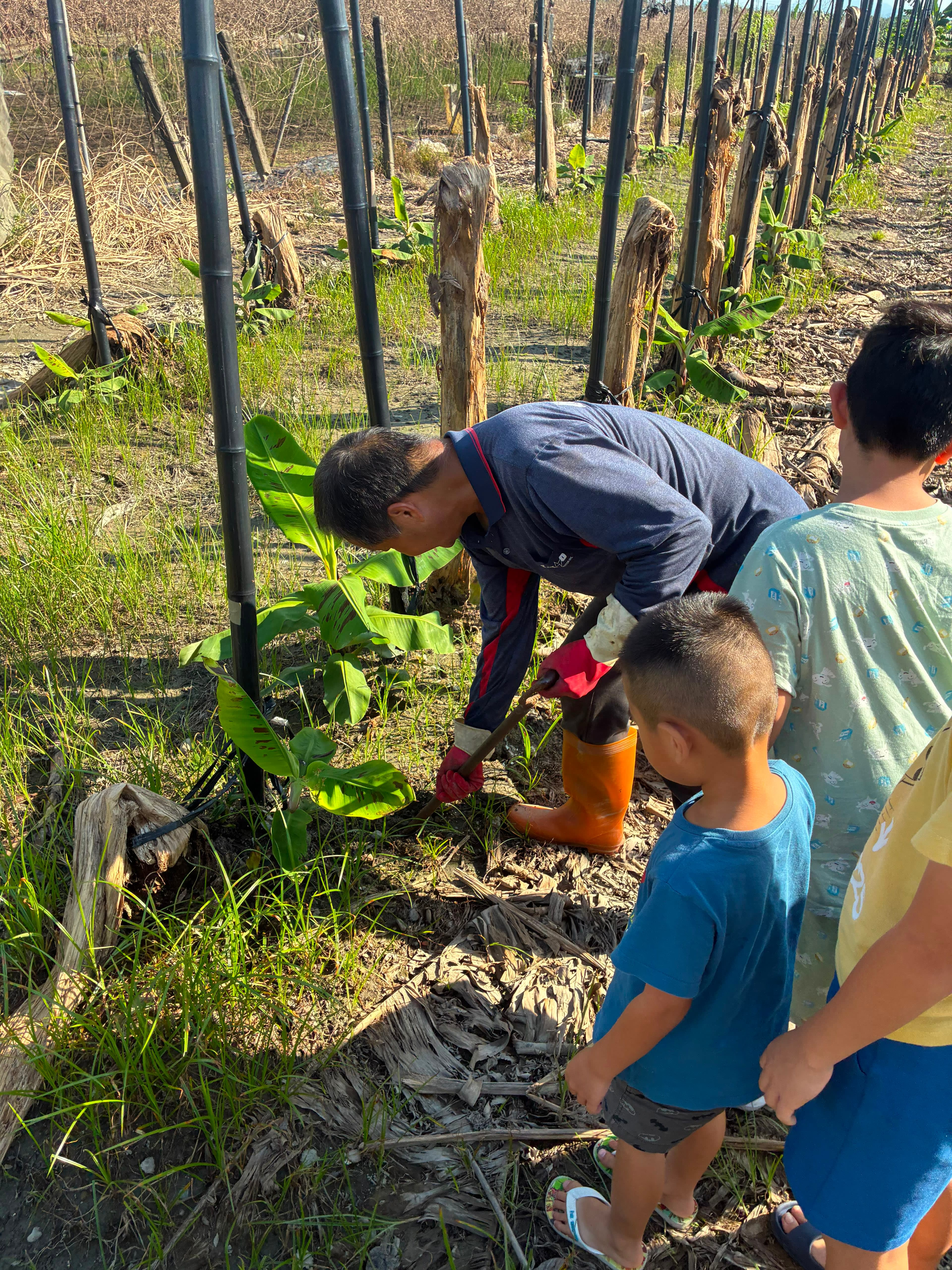 Seeds for Change in Taiwan project photo 24