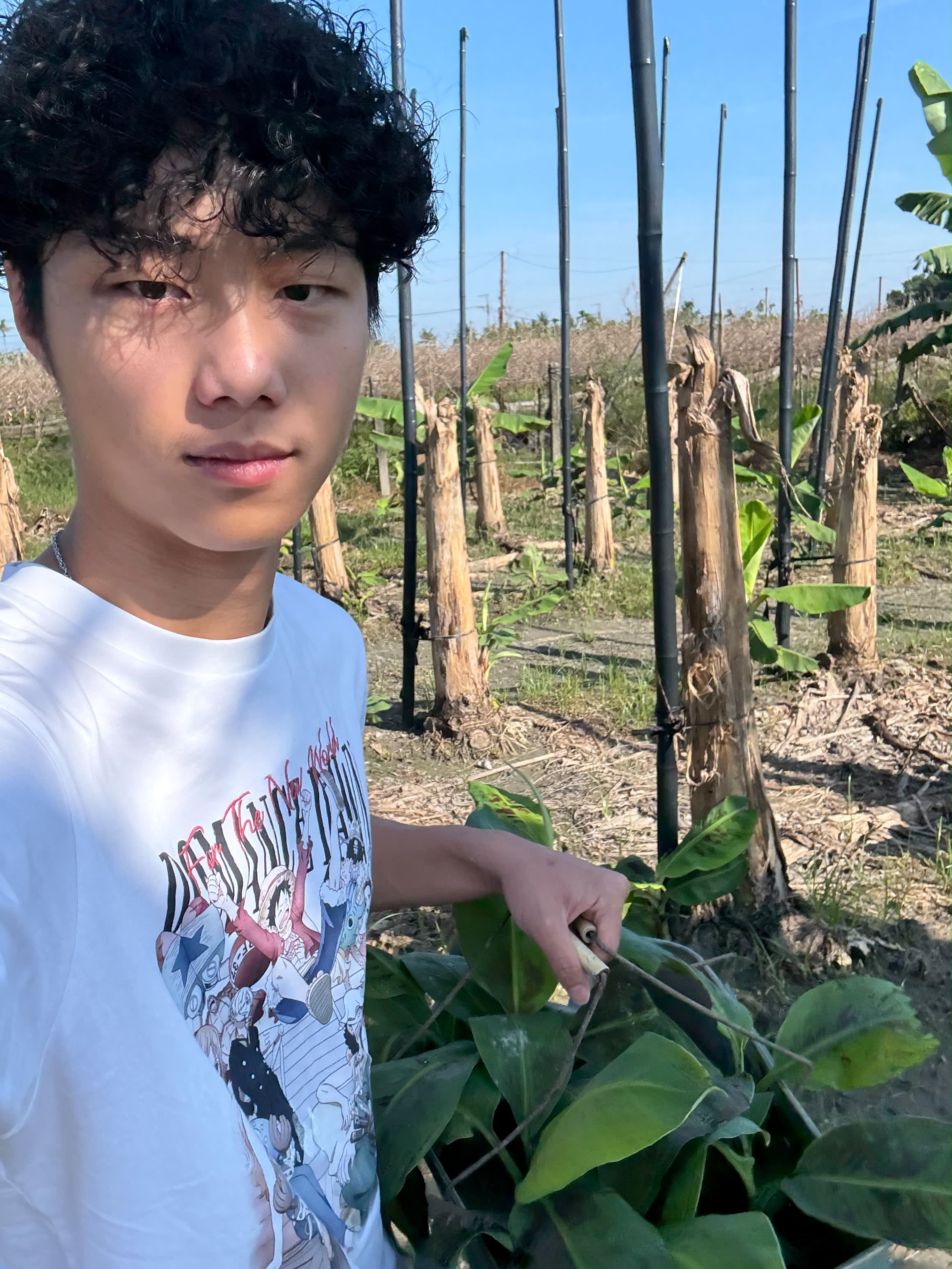 Seeds for Change in Taiwan project photo 31